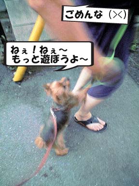 c0033145_212513.jpg