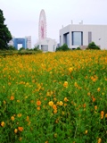 c0122445_21524175.jpg