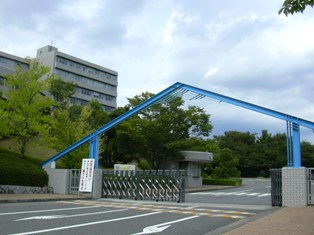 f0138645_8132099.jpg