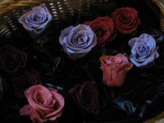 f0178145_6211330.jpg