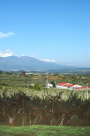d0008146_0271985.jpg