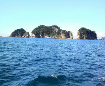 f0198056_1242348.jpg