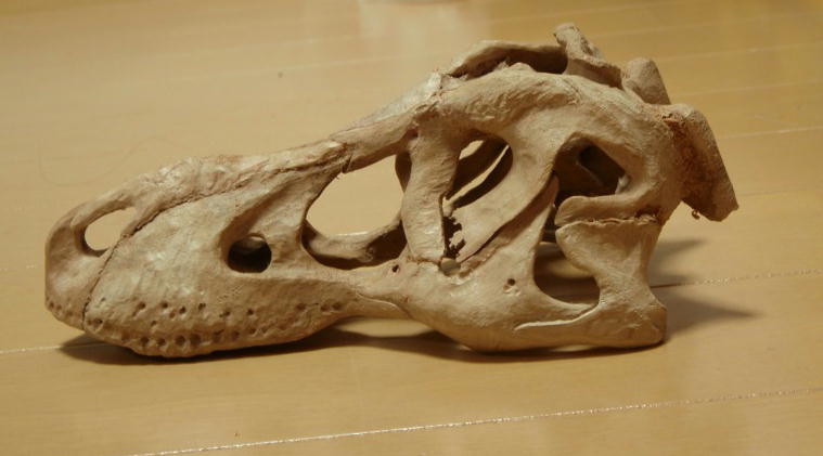e0064457_2264937.jpg