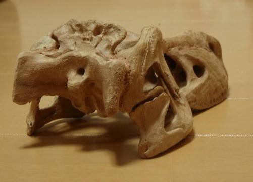 e0064457_2271461.jpg