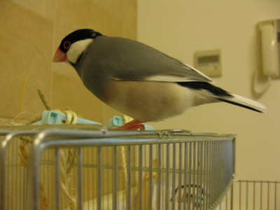 b0158061_2104815.jpg