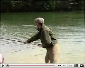 f0084561_15551382.gif