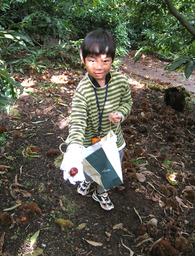 f0162861_23131296.jpg