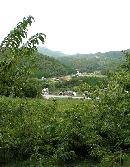 f0162861_23152643.jpg
