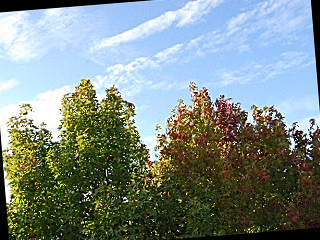 d0087062_18453375.jpg