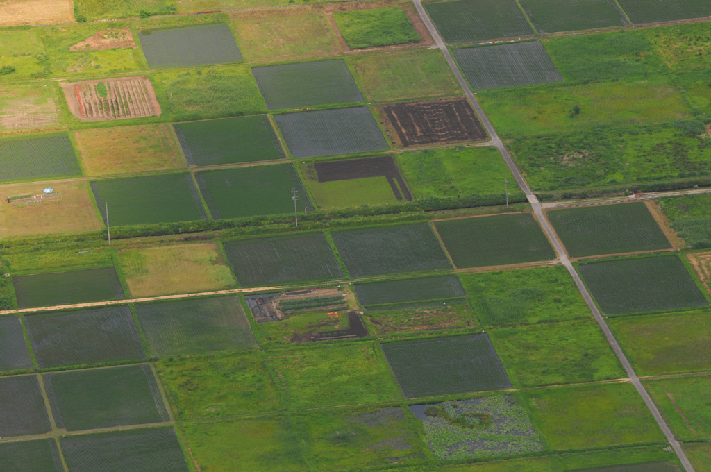 d0019264_1184371.jpg
