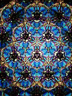 d0065364_23285229.gif