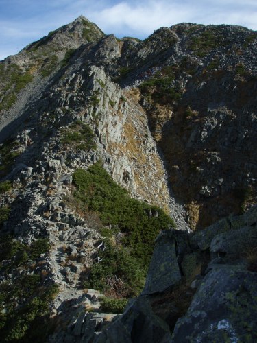 b0050067_0533124.jpg