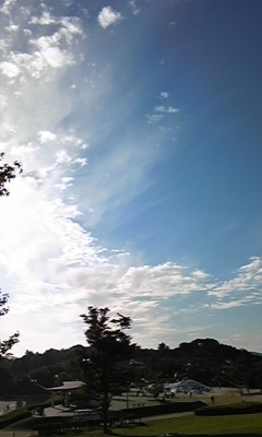 e0143667_1141876.jpg