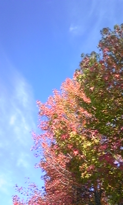 e0143667_11422382.jpg