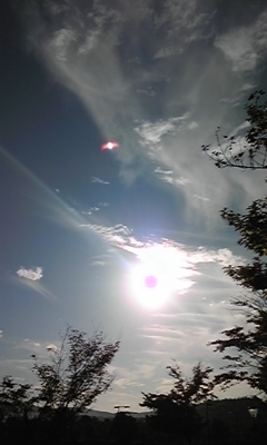 e0143667_11425494.jpg