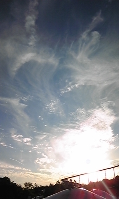 e0143667_1145235.jpg