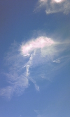 e0143667_11453921.jpg