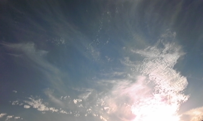 e0143667_1146368.jpg