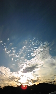 e0143667_11551782.jpg