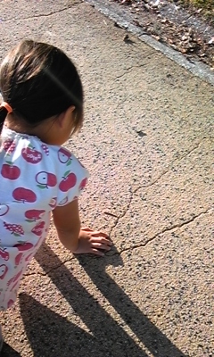e0143667_11591840.jpg