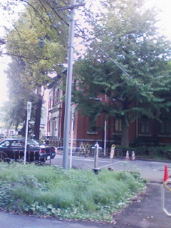 f0112873_234214.jpg