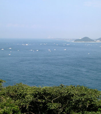f0181173_12375373.jpg