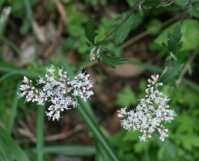 f0181173_13244359.jpg