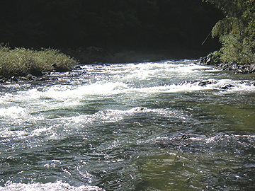 f0161874_2129930.jpg