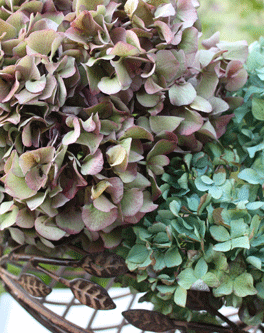 c0167576_8203674.gif