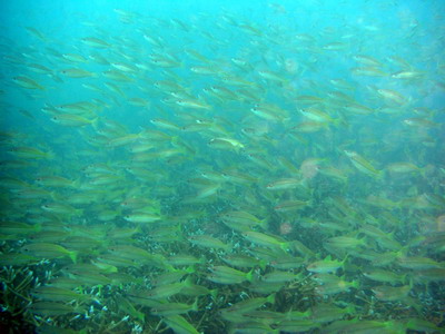 a0002177_12445986.jpg