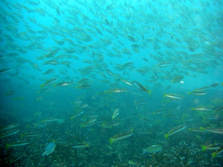 a0002177_1249616.jpg