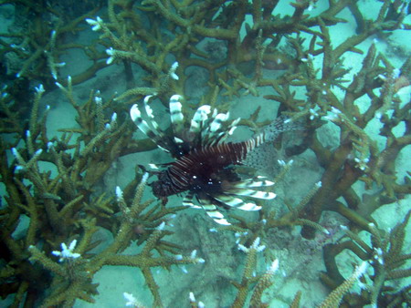 a0002177_12541064.jpg