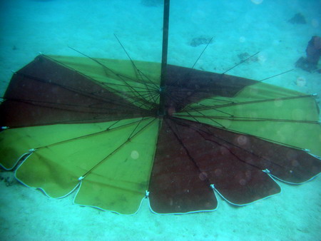 a0002177_12554152.jpg