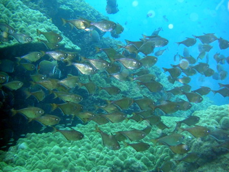 a0002177_221830100.jpg