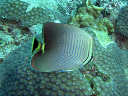 a0002177_22192620.jpg