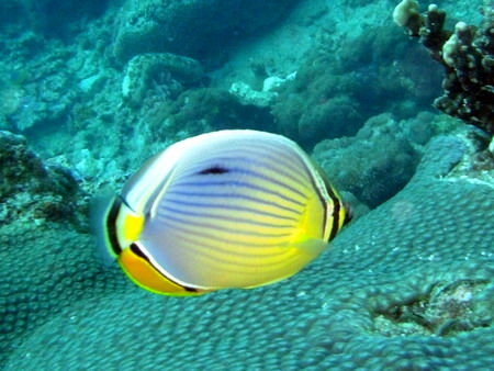 a0002177_22204785.jpg