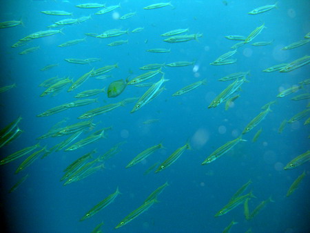 a0002177_222119100.jpg