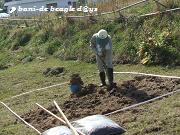 f0150377_20455689.jpg