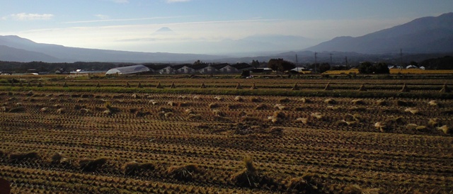 a0091680_1342058.jpg