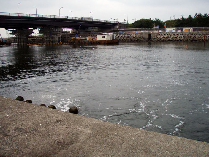 c0080180_2091964.jpg