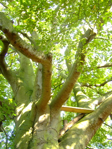 c0105780_2257518.jpg
