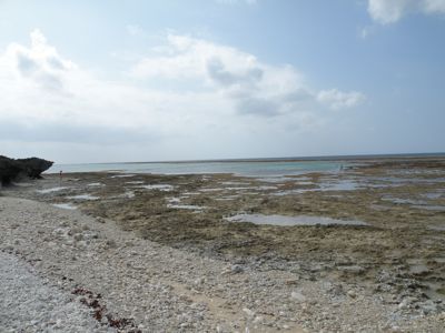 f0158880_19215664.jpg