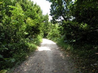 f0158880_19493842.jpg