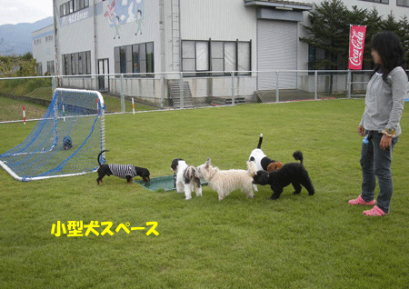 e0066883_22233317.gif