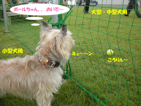 e0066883_2225249.gif
