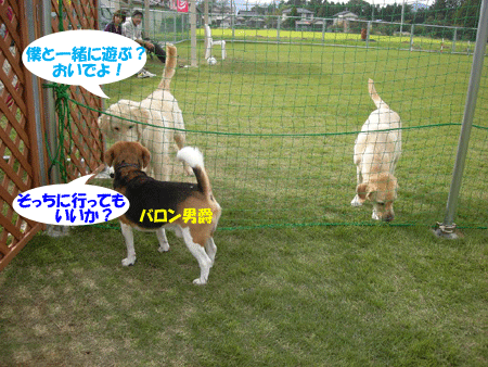 e0066883_22265554.gif