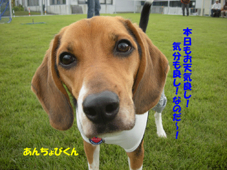 e0066883_22273566.gif