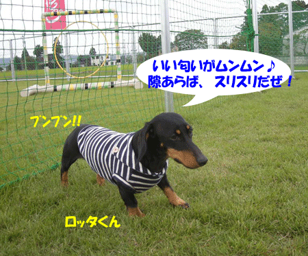 e0066883_22283837.gif