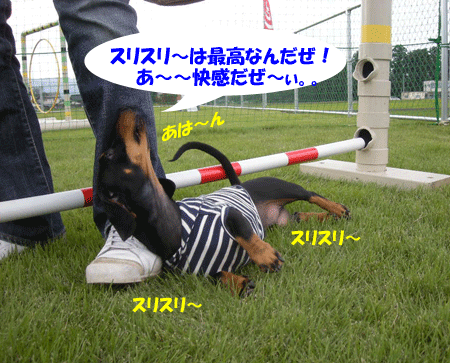 e0066883_22285723.gif