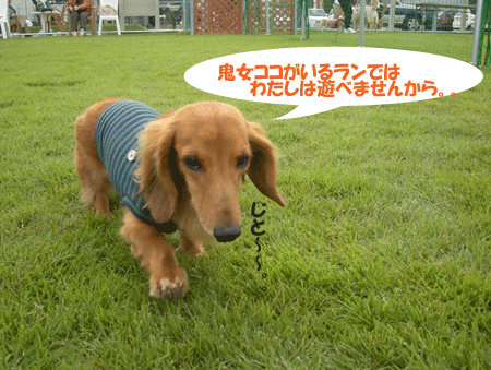 e0066883_22321495.gif